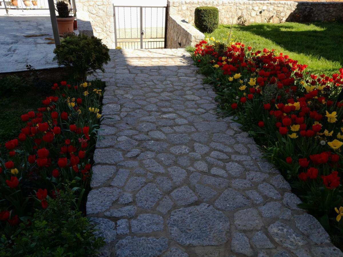 Villa Bella Ohrid Ngoại thất bức ảnh